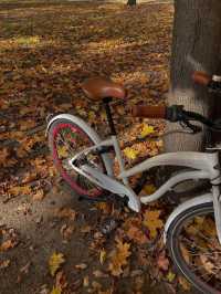 가을의 크라쿠프 🍂