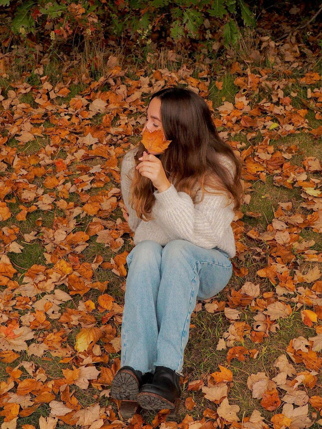 가을에는 Kennebunk를 탐험해보세요 🍂