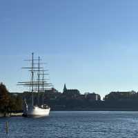 Perfect Day in Stockholm: Museums, Boat Tours, and Scenic Walks