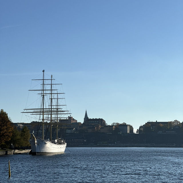 Perfect Day in Stockholm: Museums, Boat Tours, and Scenic Walks