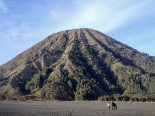 Bromo Volcano 🌋 