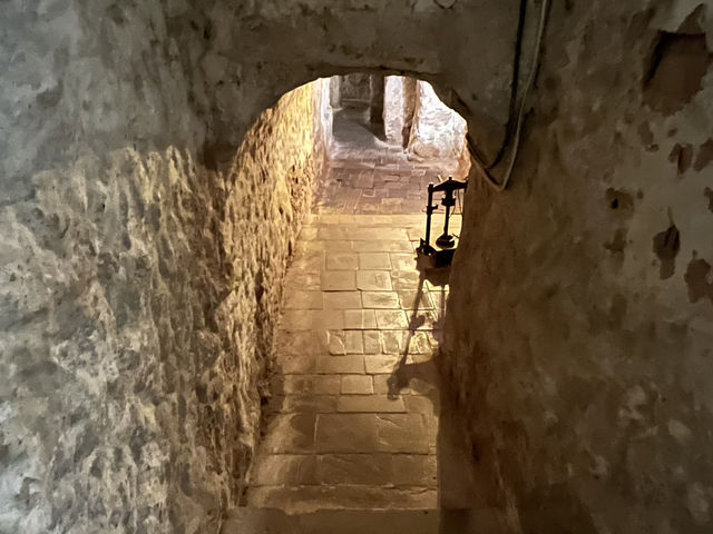 Pharmacy Museum in Lviv: A Hidden Gem of History
