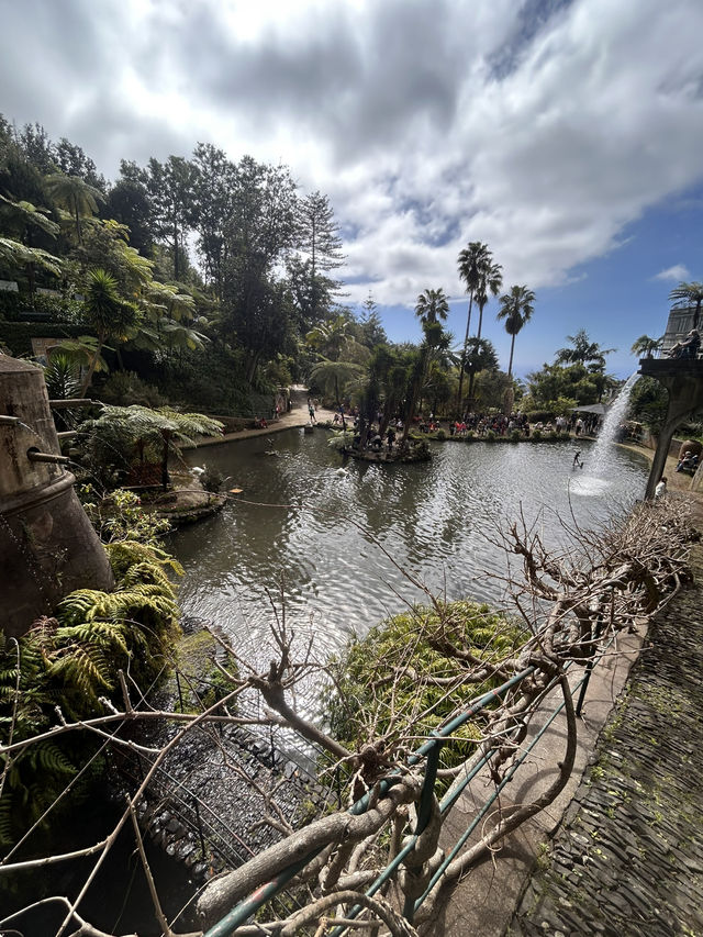 A garden paradise 