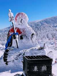 Tokyo to Yamagata Zao Onsen: The Perfect Getaway for Skiers & Non-Skiers Alike ❄️🏔️♨️