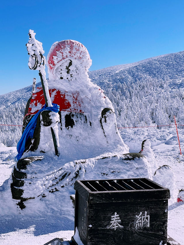 Tokyo to Yamagata Zao Onsen: The Perfect Getaway for Skiers & Non-Skiers Alike ❄️🏔️♨️