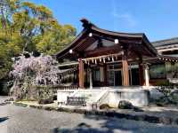 櫻花之地之熱田神宮