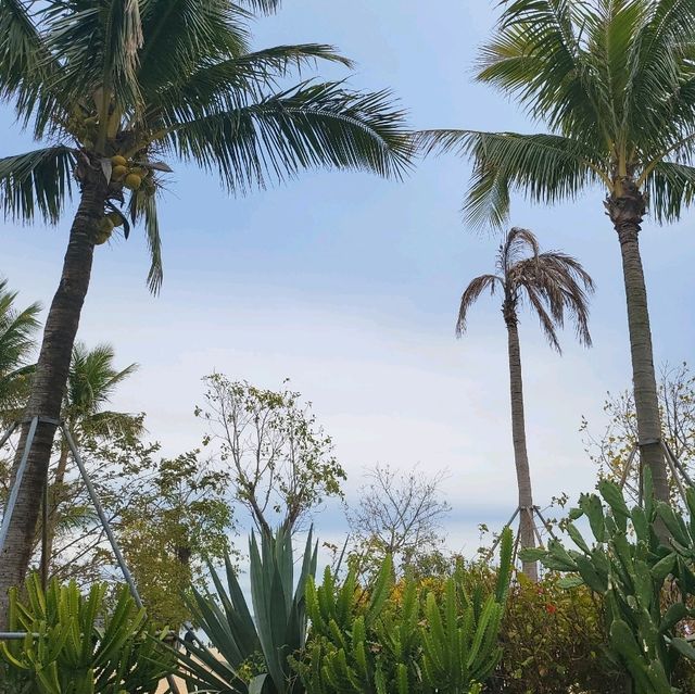 🌴🌊 Escape to Paradise at Dameisha Beach, Shenzhen! 🇨🇳