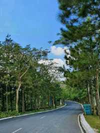 🌞 5 Epic Day Trips from Manila You Need to Try! 🚗💥