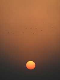 Dawn’s Tranquility in Madinah 🌄
