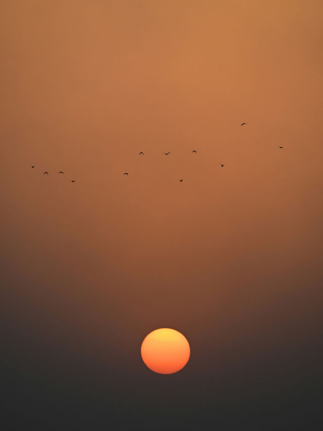 Dawn’s Tranquility in Madinah 🌄