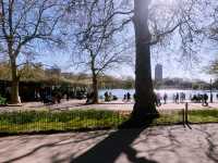 Escape to Royal Green: A Stroll Through Kensington Gardens