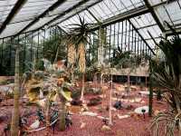 🌿 Kew Garden - London’s Botanical Wonderland