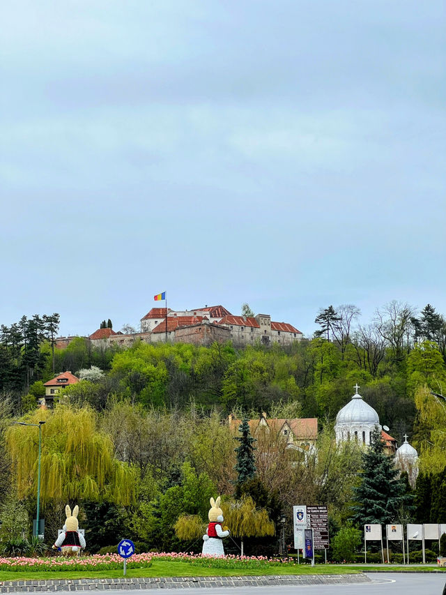🇷🇴 羅馬尼亞布拉索夫（Brașov） 🐇