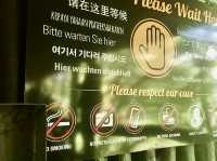 紐西蘭北島坐竹筏看藍光蟲洞
