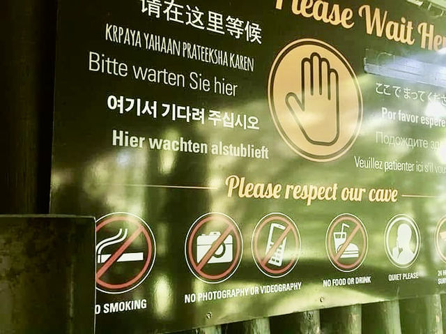 紐西蘭北島坐竹筏看藍光蟲洞