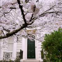 🌸 Elegant Escapes: A Day in London’s Kensington