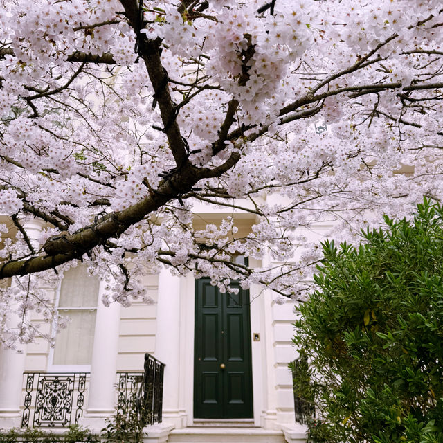 🌸 Elegant Escapes: A Day in London’s Kensington