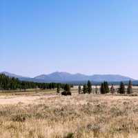 🏨 Where to Stay for Yellowstone? Let’s Talk Cody, Wyoming 🤠