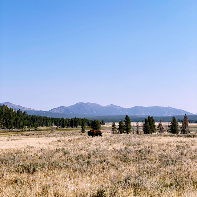 🏨 Where to Stay for Yellowstone? Let’s Talk Cody, Wyoming 🤠