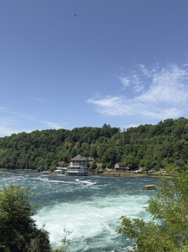 Boat tour at Rheinfalls