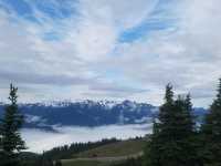 Hurricane Ridge: A hiking trail paradise in Washington!