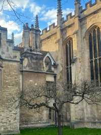 Punts, Poems, and Perfect Views: A Day in Cambridge
