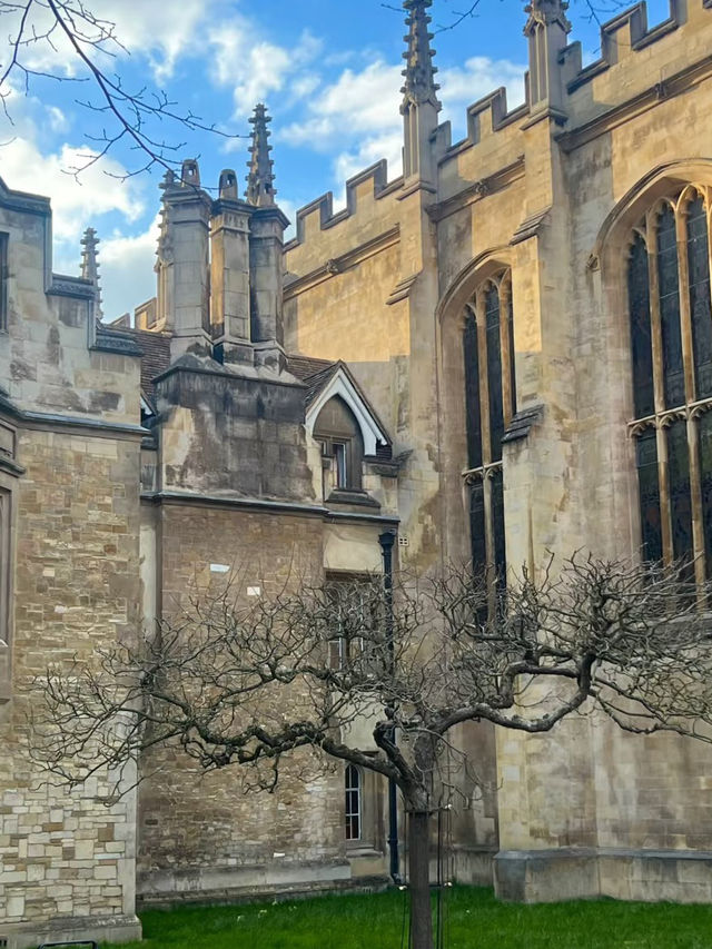 Punts, Poems, and Perfect Views: A Day in Cambridge