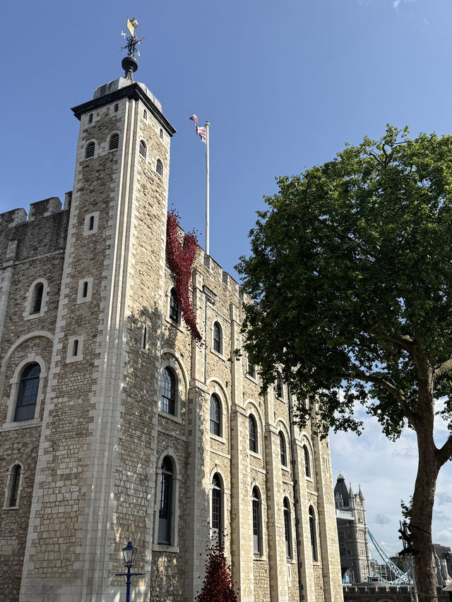 A Comprehensive Guide to the Tower of London 🏰