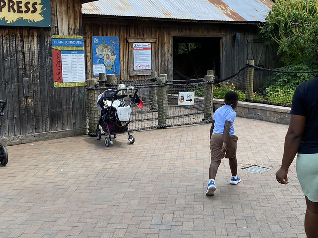 Summer is here and what a way to kick it off with an African trip.