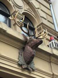 Mainz – Where 2,000 years of history meets Rhine-side soul 🇩🇪📚🌊