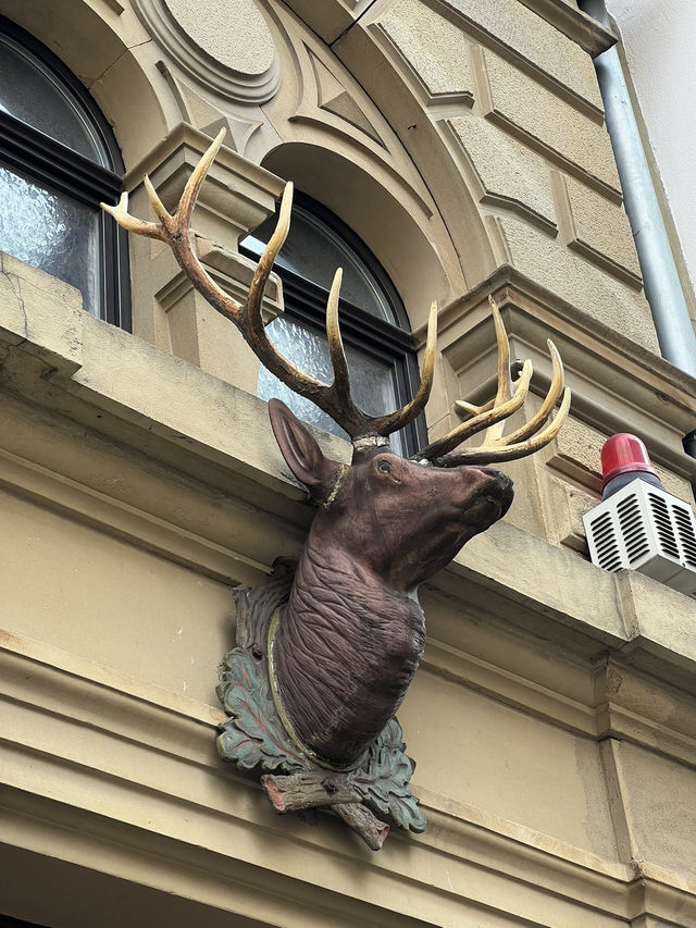Mainz – Where 2,000 years of history meets Rhine-side soul 🇩🇪📚🌊