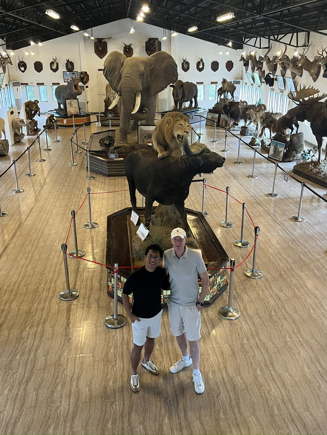 🦁🌿 Vigan Safari Adventure – Where the Wild Roars in the North! 🌿🦓