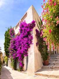 🏡 Stone by Stone, Sky by Sky – Grimaud, Côte d’Azur, France