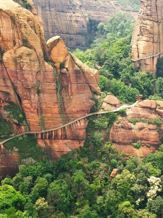⛰️ Guifeng Mountain – Nature’s Quiet Escape in Wuhan