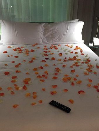 Through the Looking Glass: A Night at Sanderson London
