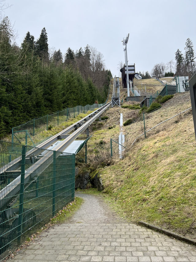Above the trees, beyond the ordinary — welcome to Skywalk Willingen 🇩🇪🌉🌲 