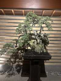 Honzen Bali: Where Dinner Turns Into Fire & Art