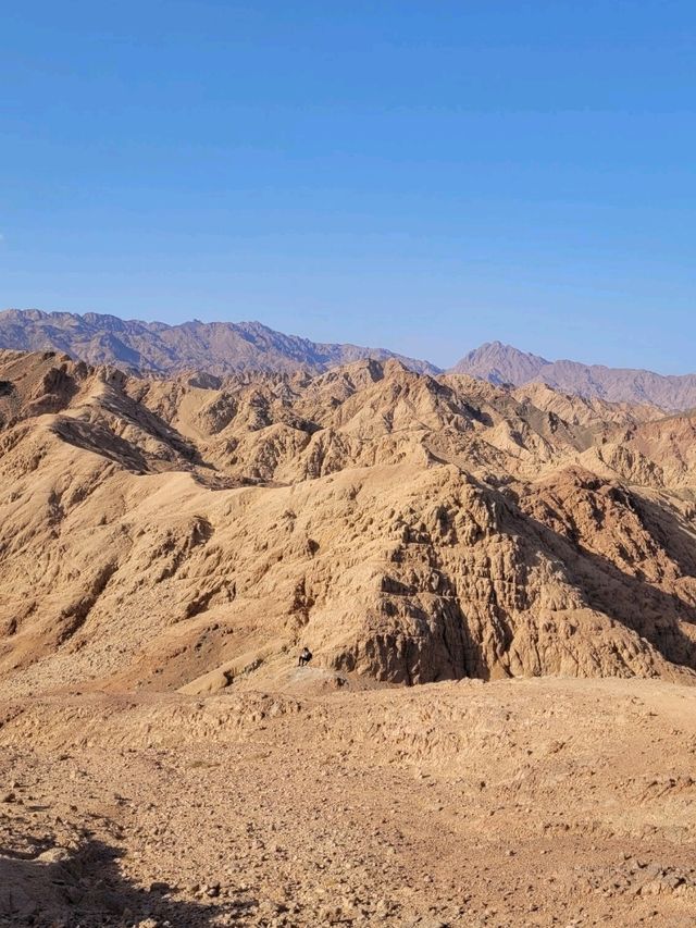 Dahab is unforgettable