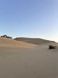 The Dunes of Maspalomas, Gran Canaria 🏜️