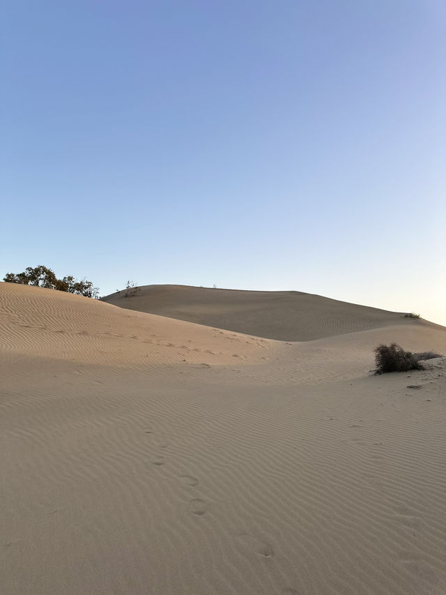 The Dunes of Maspalomas, Gran Canaria 🏜️