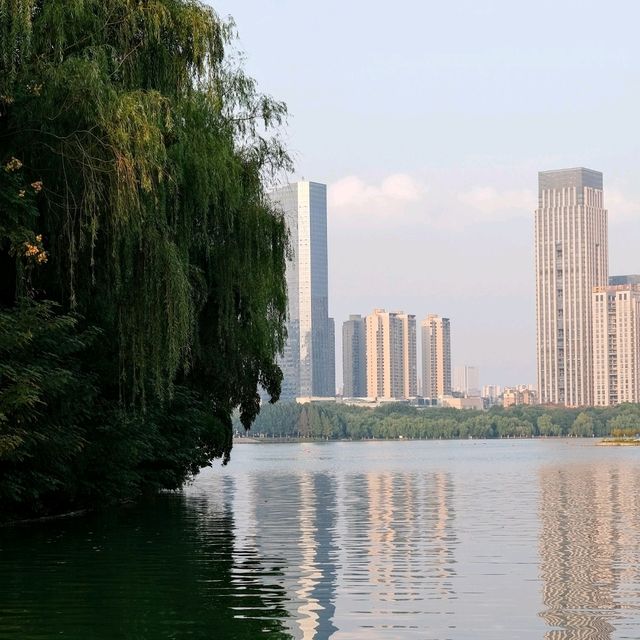🌿 Hidden Gems Around Swan Lake: Discover Hefei’s Modern Heart 🌿 Hidden Gems Around Swan Lake: Discover Hefei’s Modern Heart