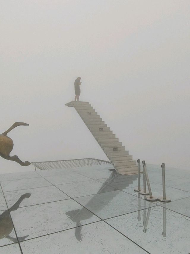 Into the Clouds🌫️