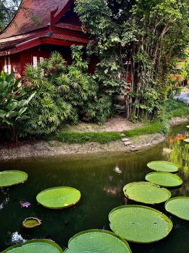 🇹🇭 📸 Инстаграмные места Пхукета 