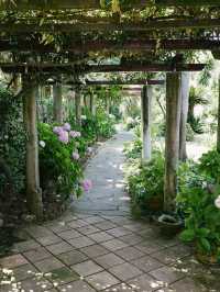 🌸 Gardens by the Bay Dreamscape