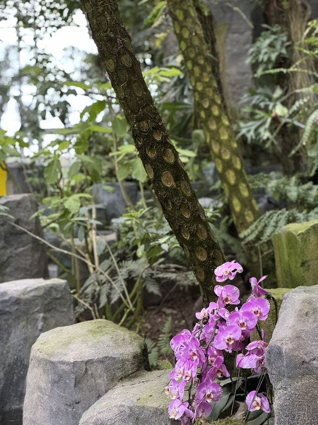 Shanghai Greenhouse Garden: Two Worlds in One Oasis Shanghai Greenhouse Garden: Two Worlds in One Oasis