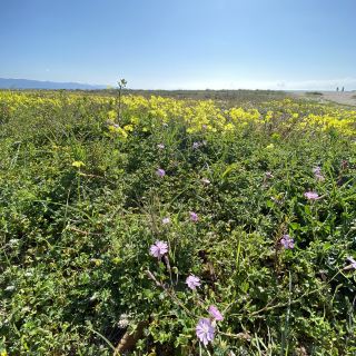 Sunny Cagliari, Sardinia.