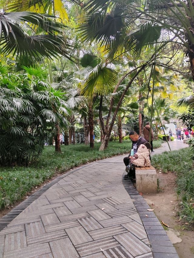 Чэнду: Город, где история дышит в каждом уголке Чэнду: Город, где история дышит в каждом уголке