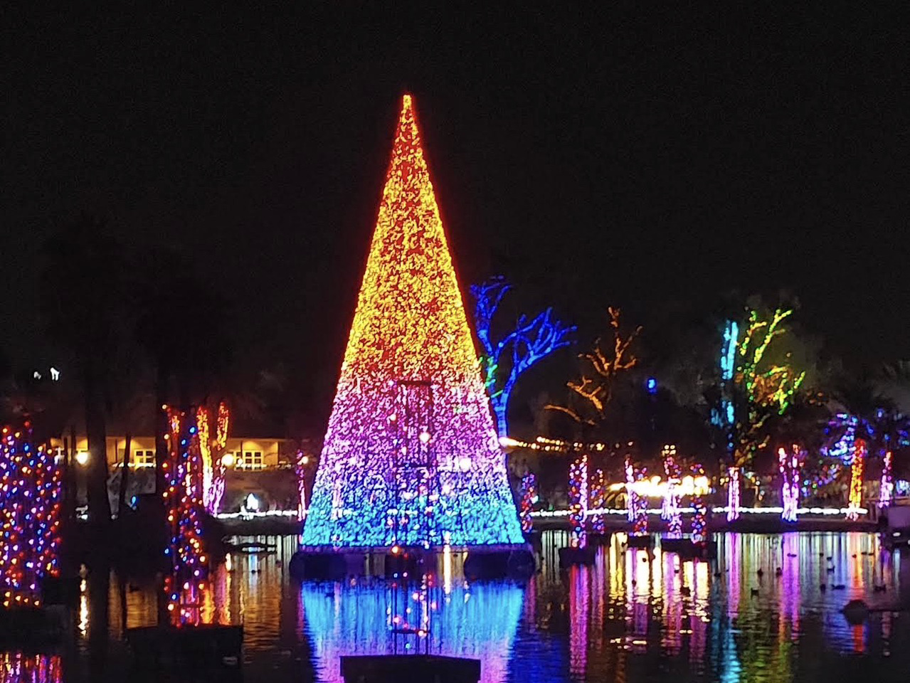 At Christmas, Phoenix Zoo becomes a nighttime celebration of light
