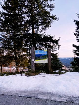 겨울의 마법, 뮘멜제: 블랙 포레스트의 얼어붙은 아름다움
