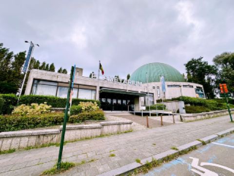 Brussels Uncovered: A City of Culture, Craft & Tradition 🇧🇪 